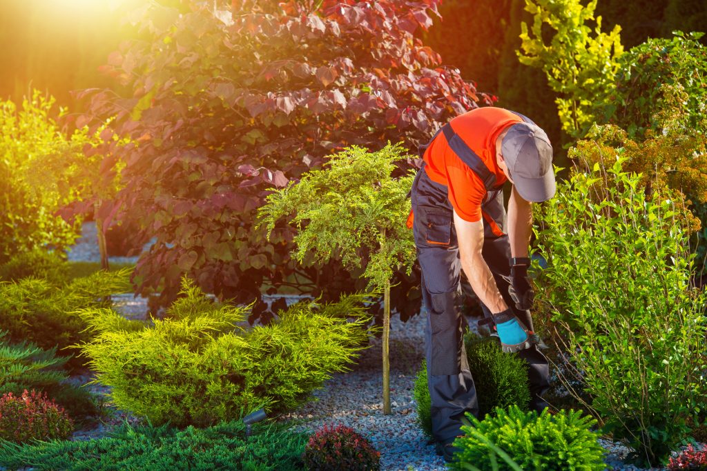 Elysian Gardens Ltd We offer high quality gardening services which range from garden maintenance to landscaping in Jersey Channel Islands